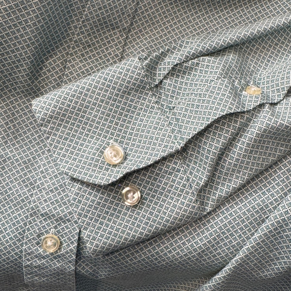 Banana Republic Factory Medium Dress Shirt (Green/White)